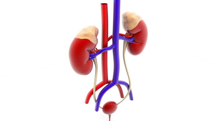 Следует помнить, что почечные болезни всегда начинаются бессимптомно болят почки и что делать в домашних условиях