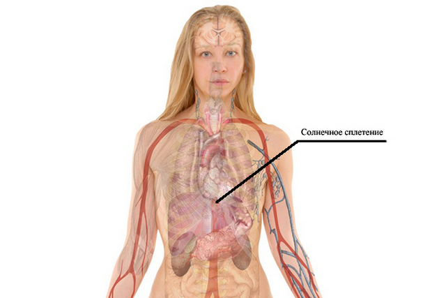 Расположение солнечного сплетения