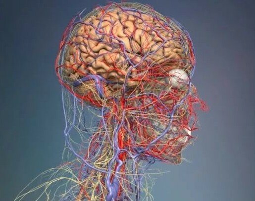 Почему так сильно болит голова при беременности