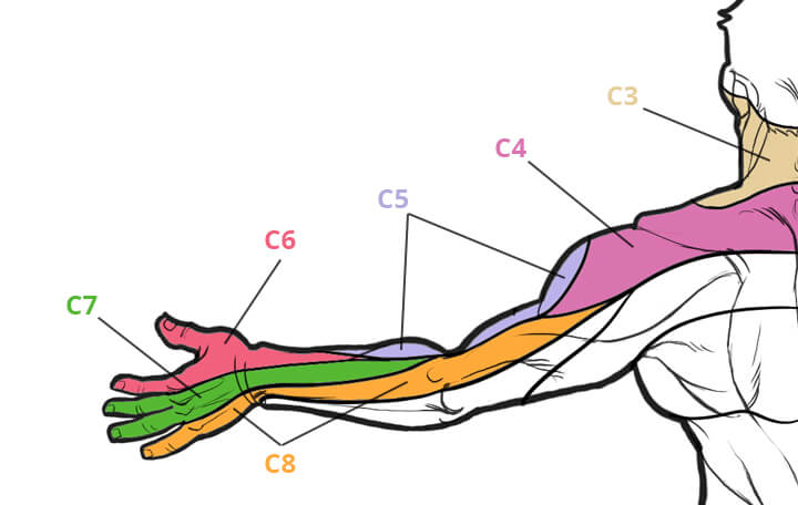 Защемило спину болит под лопаткой