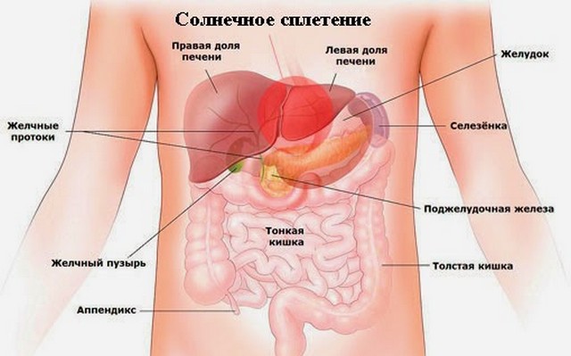 Солнечное сплетение отвечает за нормальную работу многих внутренних органов