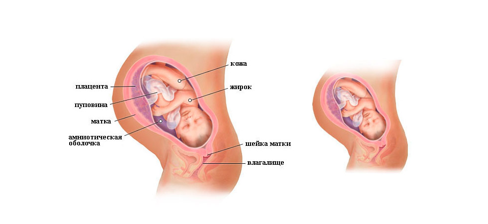 Малыш на 38 неделе беременности