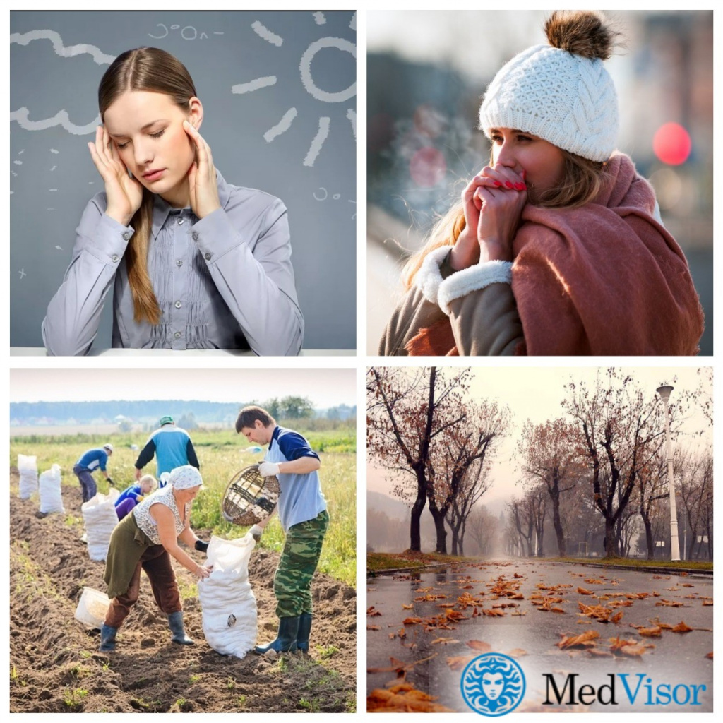 Причины обострения болей в спине осенью Осеннее обострение болей в спине