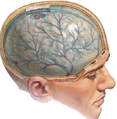 температура и болит спина причины