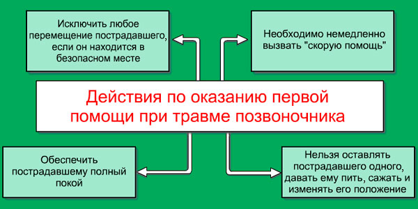 Действия при переломе позвоночника Действия при переломе позвоночника