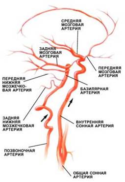энцефалопатия