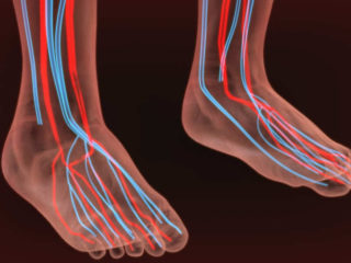 Болит спина днем ночью нет