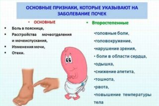 Если крутит ноги и болит спина